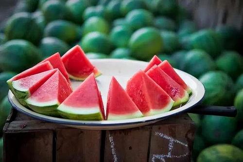 东瓜娱乐中老年吃瓜,中老年群体乐享“吃瓜”时光 第3张 东瓜娱乐中老年吃瓜,中老年群体乐享“吃瓜”时光 第3张