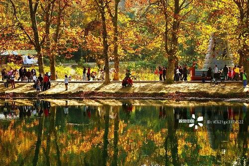 花溪花果园爆料事件视频,视频揭露惊人真相 第3张 花溪花果园爆料事件视频,视频揭露惊人真相 第3张